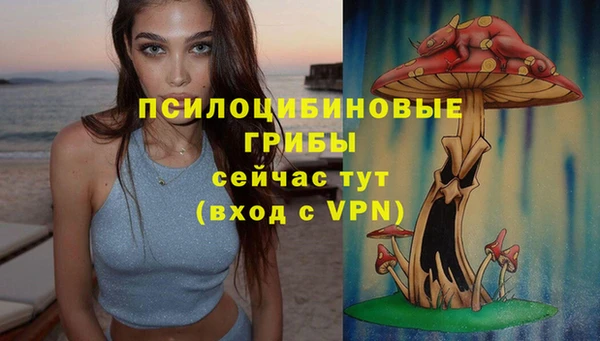 ALPHA-PVP Алексеевка